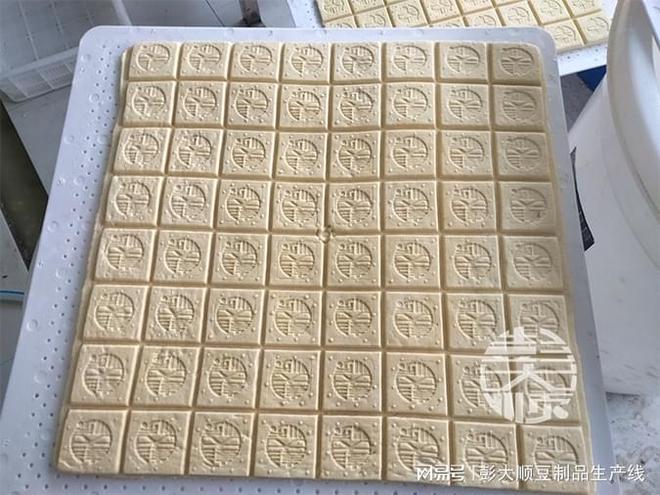好博体育-豆腐干机的生产流程你了解多少？(图1)